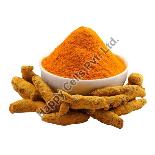 Turmeric Powder