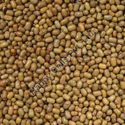 Whole Moth Beans