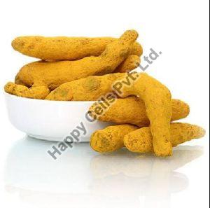 Turmeric Finger